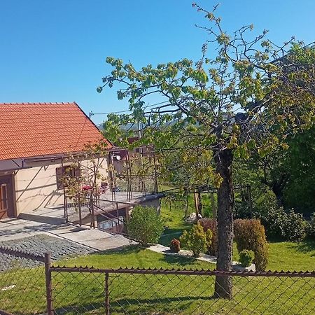 Holiday In The National Park Lovcen Цетине Екстериор снимка